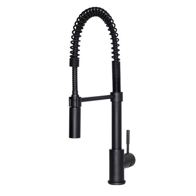 Sierra Pull Down Single Handle Kitchen Faucet with Side Spray and Accessories