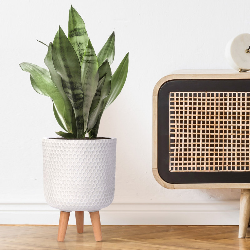 Concrete Effect Cylinder Round Planter on Hardwood Legs, Round Indoor Plant Pot Stand for Indoor Plants, Indoor Flower Pot with Honeycomb Pattern