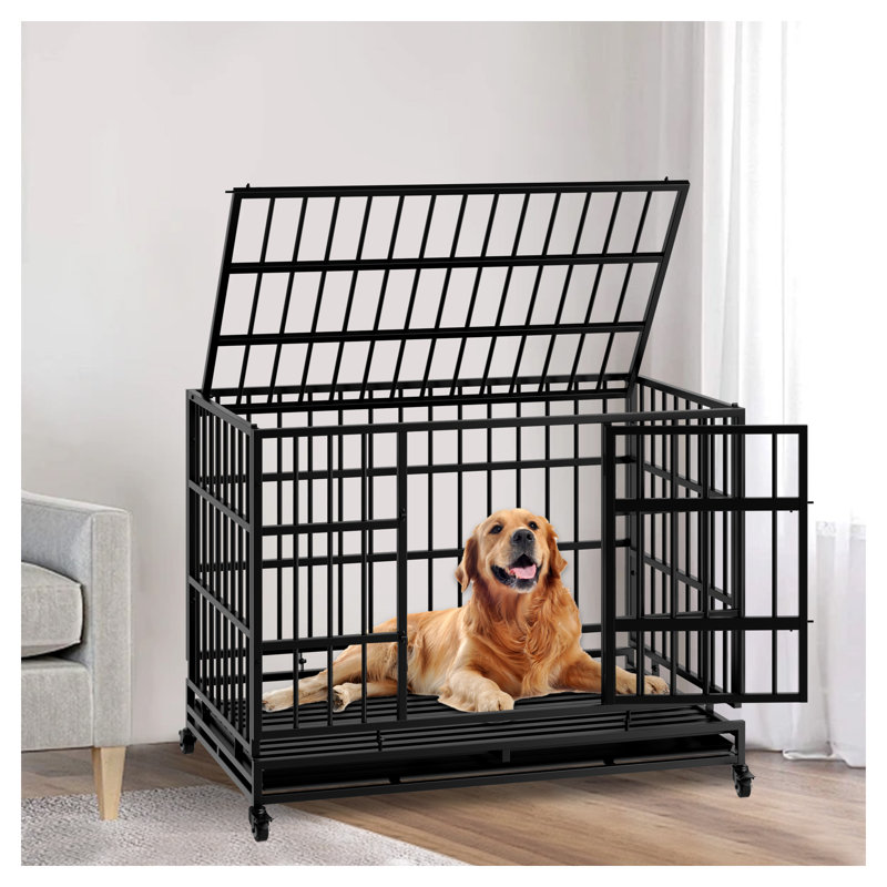 Cage pour chien 48 pouces Indestructible