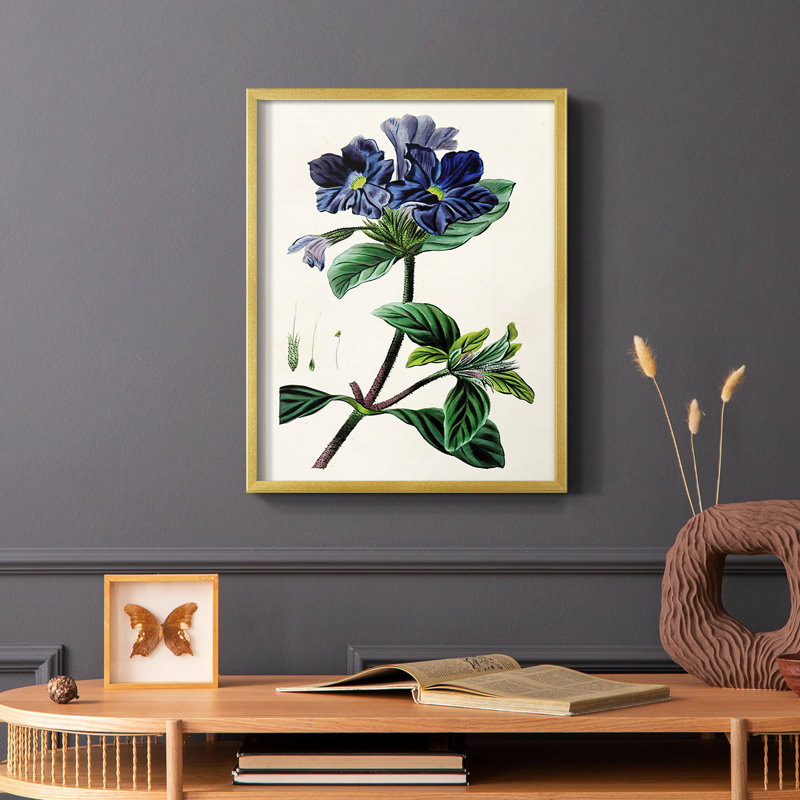 Reproduction encadrée Antique Floral Folio IV - bois massif, H 20 po x l 16 po