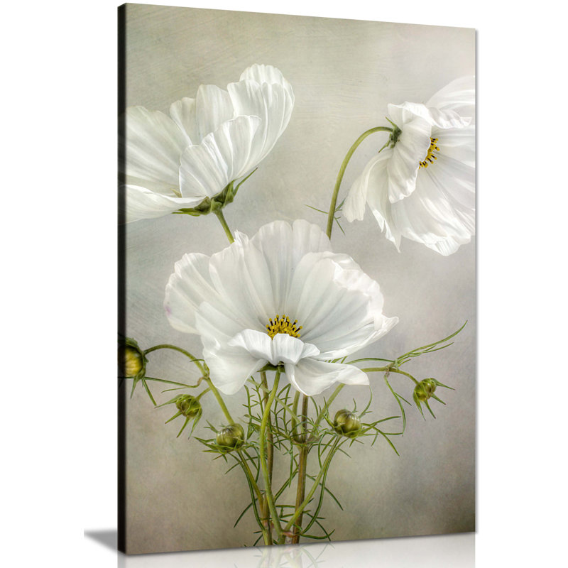 White Cosmos Flower Vintage - Wrapped Canvas Painting, 91cm H x 61cm W