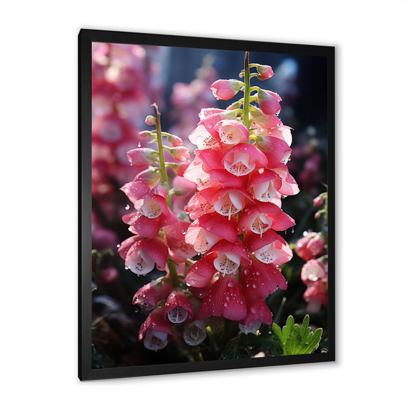 Lolmaugh Meadow Foxglove Fantasy II, Cadre photo noir, H 20 po x l 12 po x P 1 po