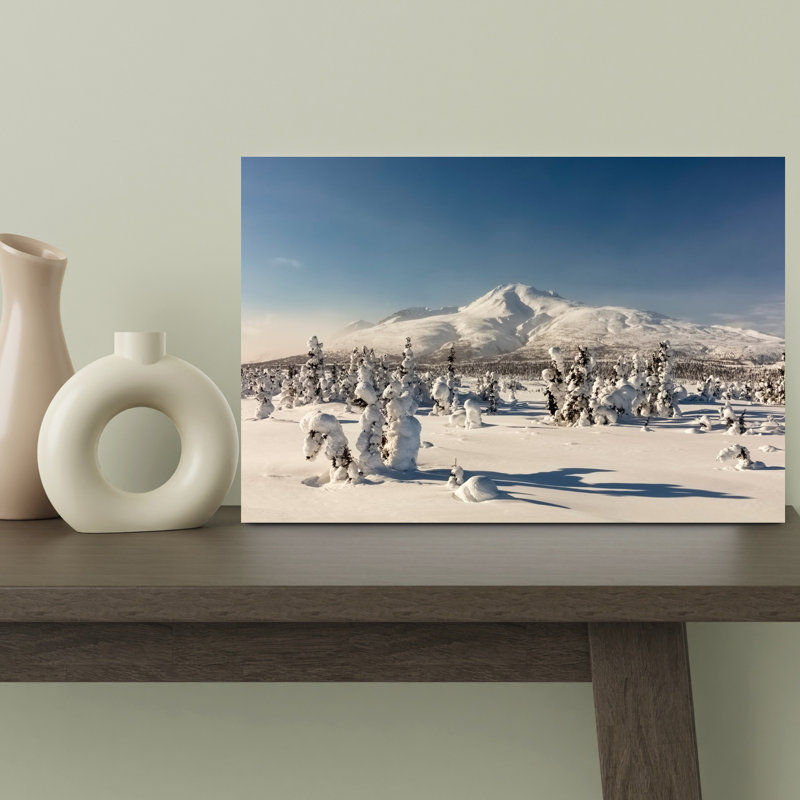 Deep Snow Blankets The Taiga Near Tahneta Pass Alaska by Ray Bulson - Wrapped Canvas Print, 30.48cm H x 45.72cm W