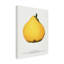 Reproduction d'art sur toile, "ologic botanic "-103094698