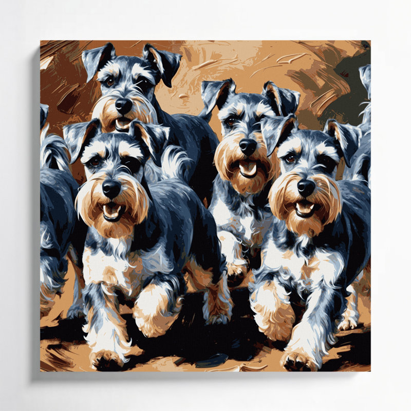 Schnauzer miniature sur toile noire, H 16 po x l 16 po