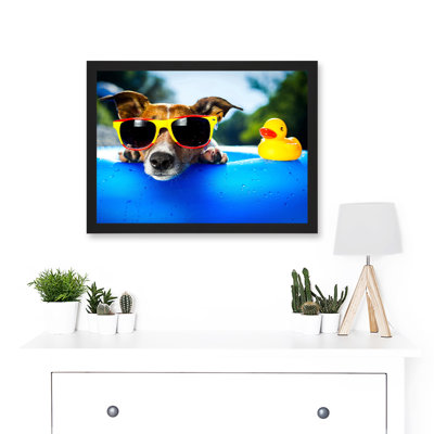 Jack Russell Dog Sunglasses Rubber Duck - Single Picture Frame Art Prints