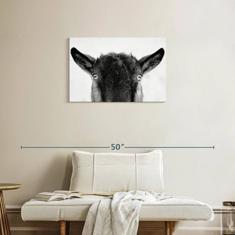 Peeking Black Goat, 20" H x 30" W
