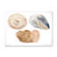«Holiday Set with Abstract Blue and Beige Circle Spot», peinture sur toile encadrée-59850577-59850576