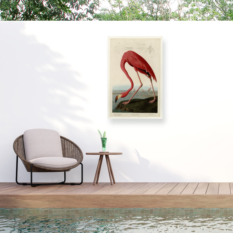 American Flamingo Light Mixed Media Canvas Art 19" x 12"