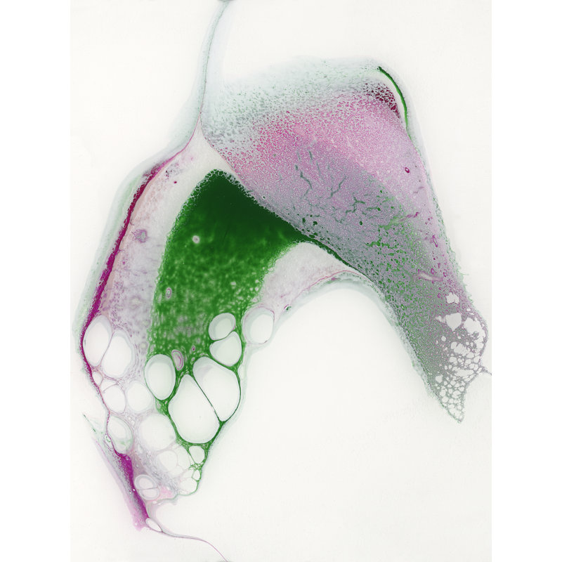 «Newness» par Carla White - Peinture, H 32 po x l 24 po, Toile tendue