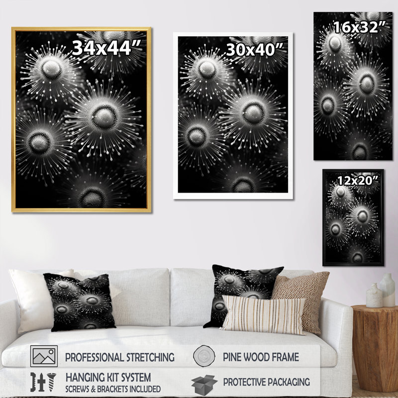 «Black and White Sea Urchin Symphony», reproduction sur toile de plage et océan, H 40 po x l 30 po x P 1,5 po