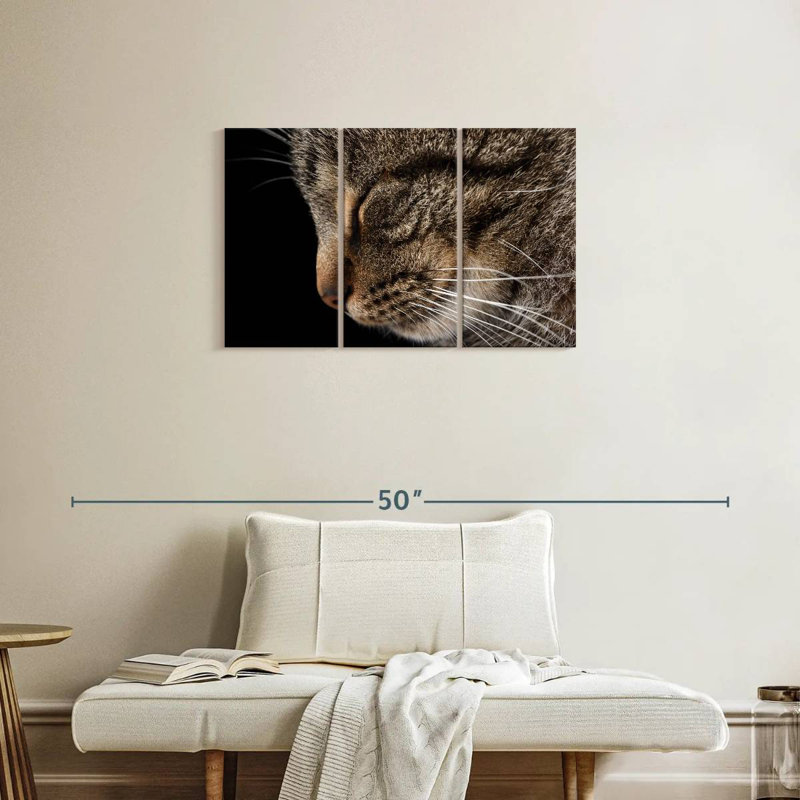Chat tigré endormi, H 20 po x l 33 po