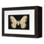 Flutter 7 Print by Todaro, Katie