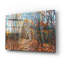 «Fall Forest Trail traverse the Birch» par Joanne Towers, art mural en verre acrylique-42154728