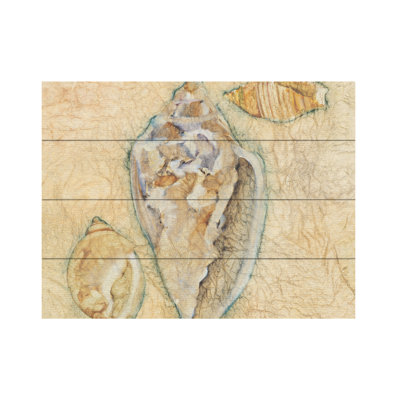 Cheri Blum Shells IV Wood Slat Art