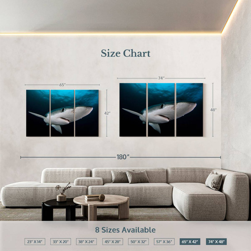 Brampt Underwater Blue Shark, 42" H x 65" W