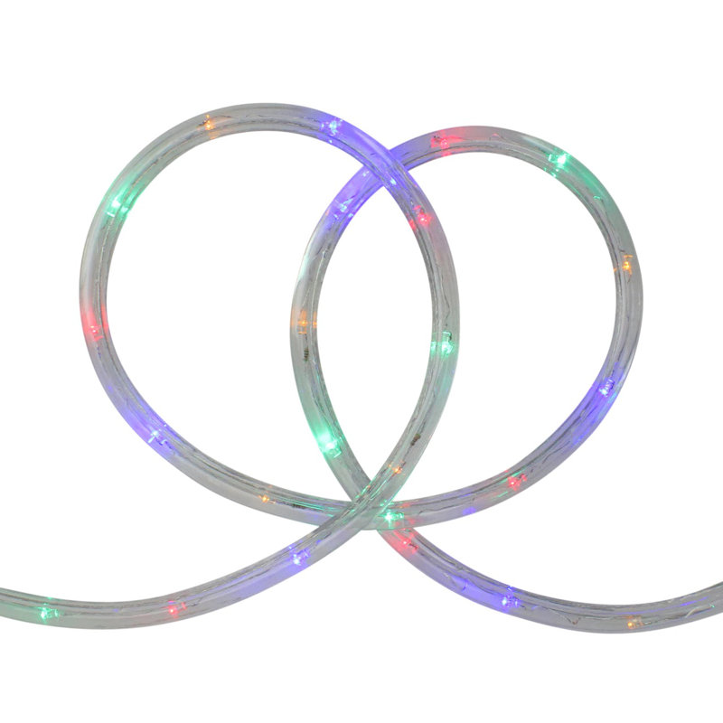 Guirlande de Noël à DEL 100 pi, Multicolore