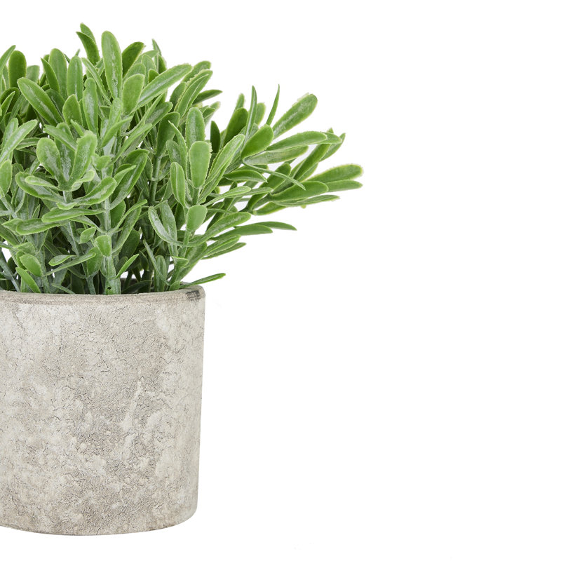 50.8cm Faux Buxus Plant Plant