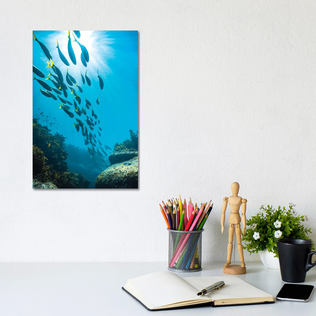 Underwater Sydney by James Vodicka - Wrapped Canvas Gallery-Wrapped Canvas Giclée