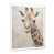 White Single Picture Framed