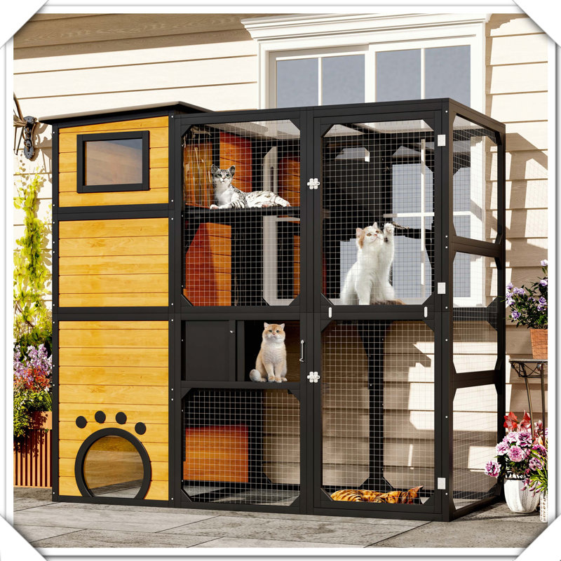 Catio d'extérieur à 4 niveaux avec plateformes d'accès aux fenêtres