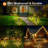 Chrome Solar Powered Integrated LED Pathway Light