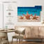 Starfish trio Aletra-108701332