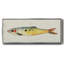 Poisson fantaisiste I - toile encadrée-728535346