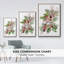 Cardinal Holly Christmas Collection B-1653972436-1653972443