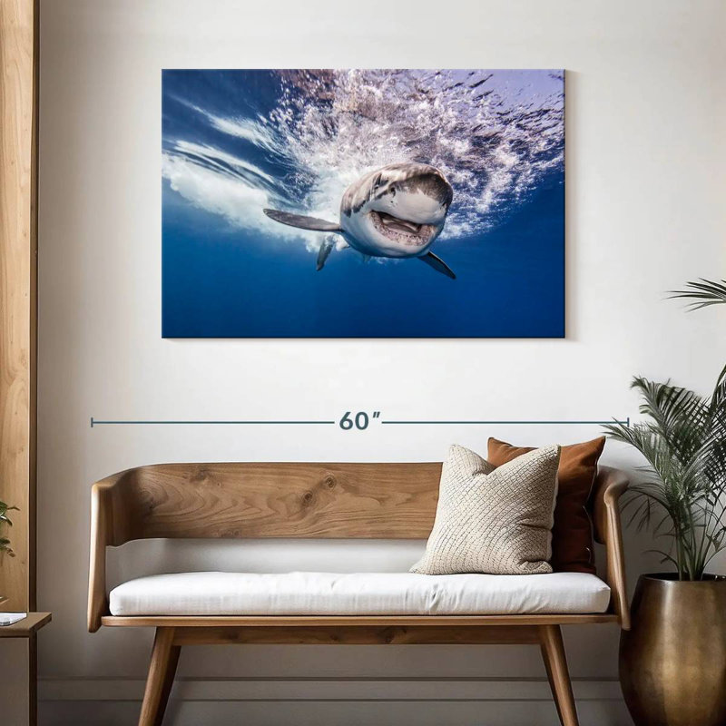 Brampt Happy Shark, 30'' H x 45'' W