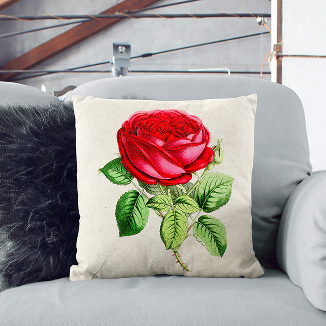 Illustration of a Rose Cushion with Filling