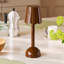 Scallop LED Lamp 28cm-1096000238