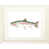 White Framed is out of stock selected