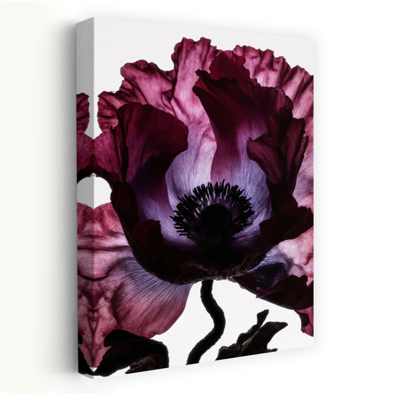 Lightfall Florals - Velvet Cup, art mural contemporain abstrait, H 24 po x l 16 po