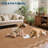 Scalloped Area Rugs for Living Room Washable Non Slip Bedroom Nursery Rugs Floral Farmhouse for Dining Room-1844652452-1844652506
