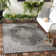 Arneshia Floral Brown/Tan Indoor/Outdoor Area Rug