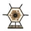 3 - Light Flush Mounted Sconce
