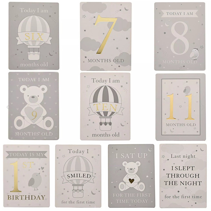 Paper/ Card Novelties Album