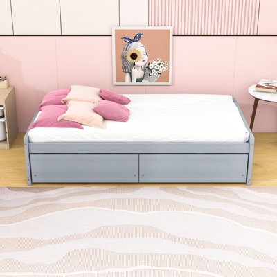 Casstown Twin Daybed with Two Drawers by Red Barrel Studio
