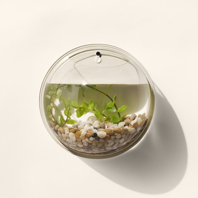 Aquarium mural de luxe Hemington Fish Bubble