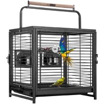 Macaw Bird Cages You'll Love in 2024 - Wayfair Canada