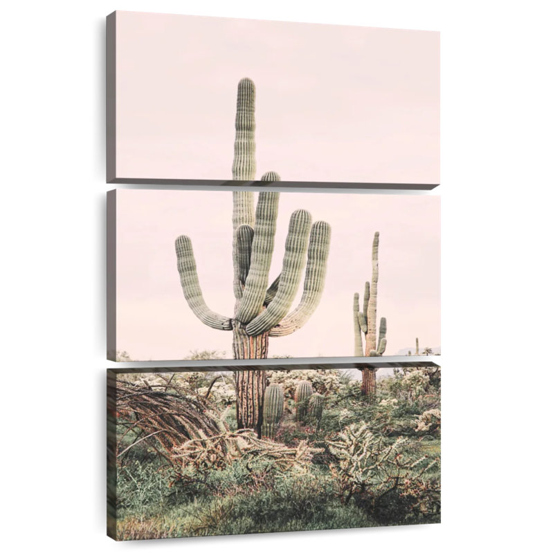 Harnek rosé cactus timide, H 38 po x l 24 po