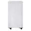 4368431928CCAEE Cake & Cupcake Accessories Clear