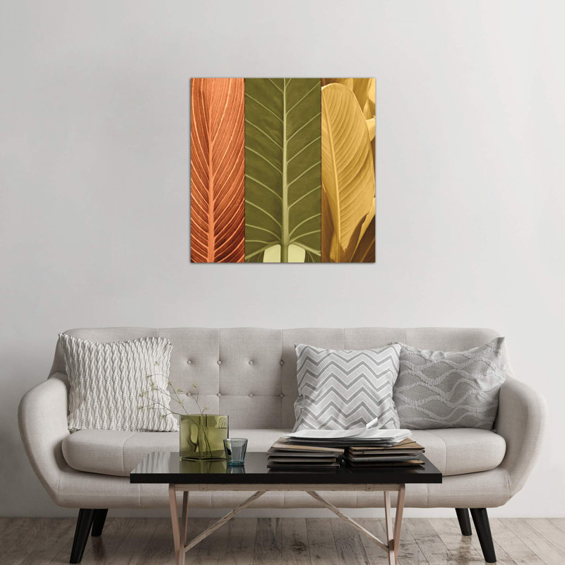 John Seba - Wrapped Canvas Print, 66.04 cm H x 66.04 cm W x 3.175 cm D