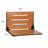 Silhouette Folding Shower Seat