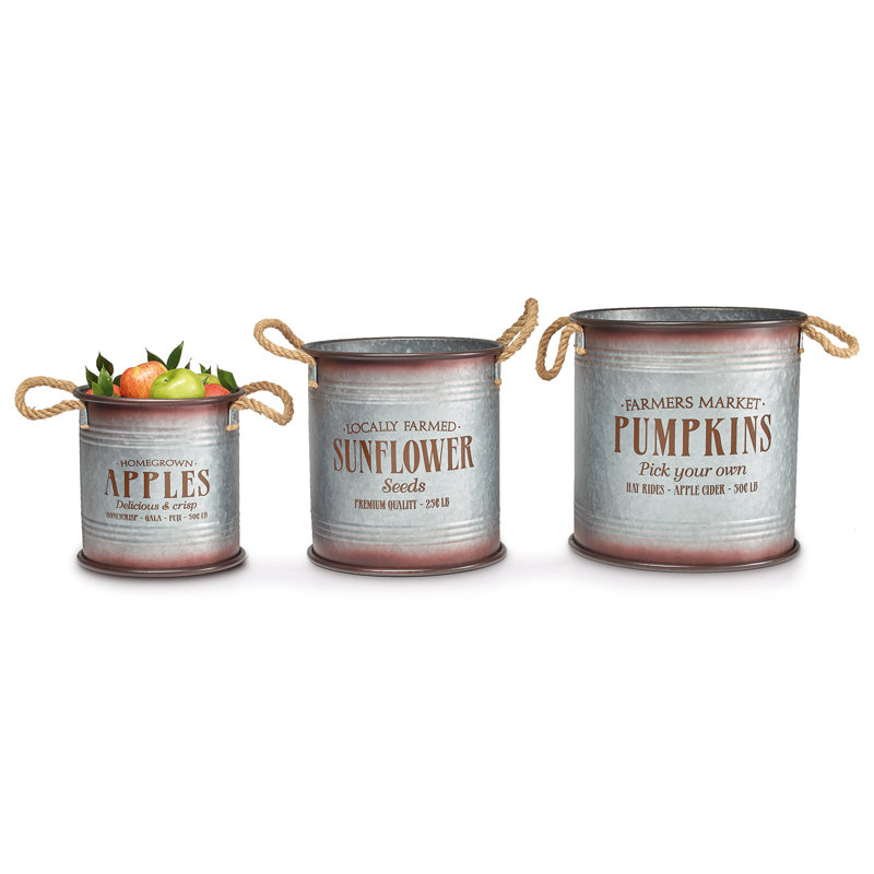 Alai Metal Pot Planter