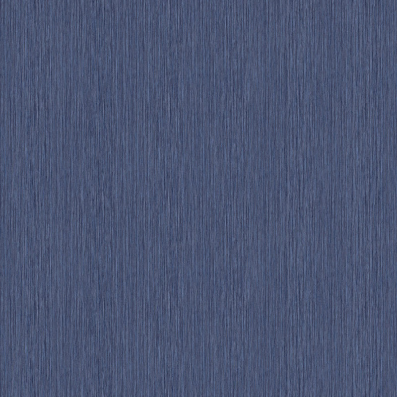 Praveen 10.05m x 53cm Matte Double Roll, Blue