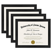 15 Pack 8.5 x 11 Certificate Diploma Paper Ivory Gold Leaf Award  Graduation