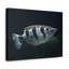 Wall Art on Canvas-1079125805