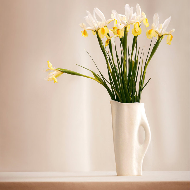 Timna Fine Porcelain Pitcher